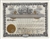 Goes® Capital Text Oil Stock Certificates, 100 pack