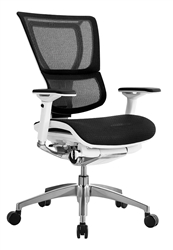 iOO Adjustable Ergonomic Mesh Office Chair by Eurotech Seating