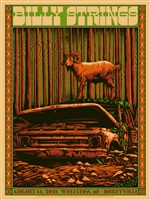 Billy Strings Concert Poster by Simon Berndt