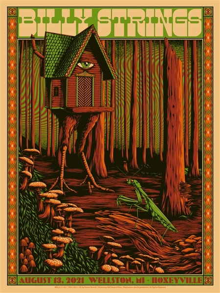 Billy Strings Concert Poster by Simon Berndt