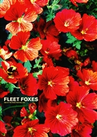 Fleet Foxes Concert Poster by Tommy Davidson