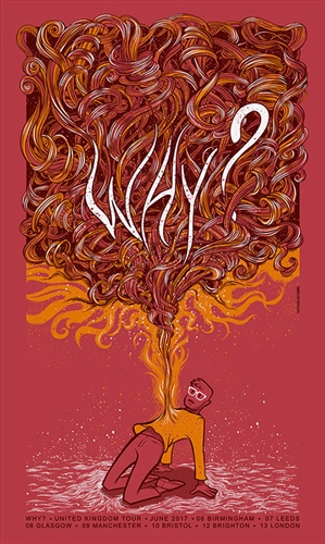 Why Concert Poster by Sabrina Gabrielli