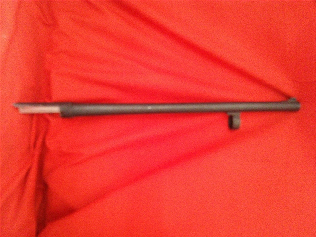 Charles Daly Field Barrel, 18 1/2" 12 Gauge Pump