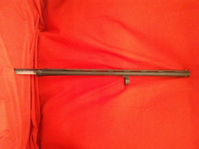 Charles Daly Field Barrel, 22" 20 Gauge Pump