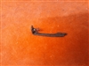 Erma LA22 Trigger Bar