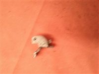 F.I.E. ERA Trigger Lock