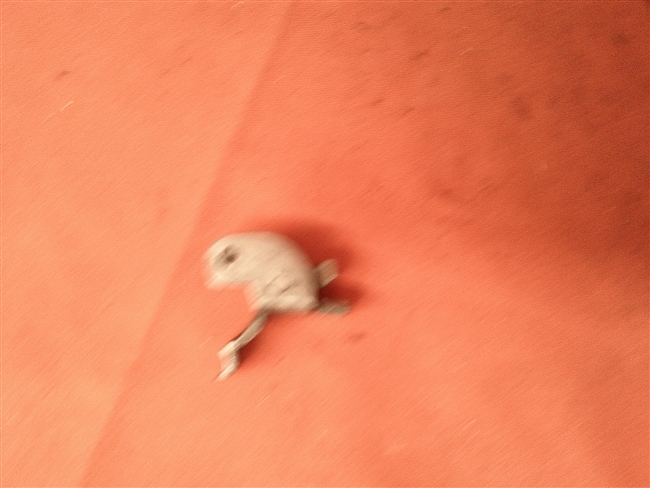 F.I.E. ERA Trigger Lock