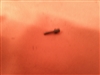Thompson Center Super 14 Firing Pin, Center Fire