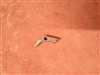 Intercontinental Arms Bolt