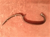 Amberg Trigger Guard