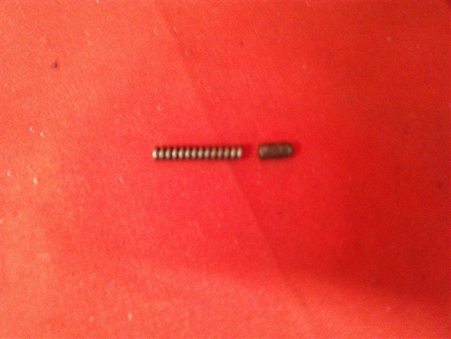 Hawthorn Warrior Trigger Spring & Plunger