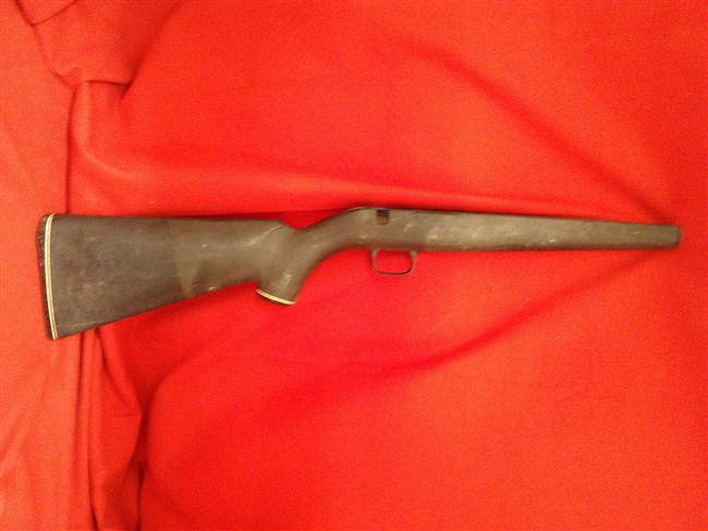 Daisy 8 Stock