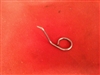 Marlin 17V Ejector