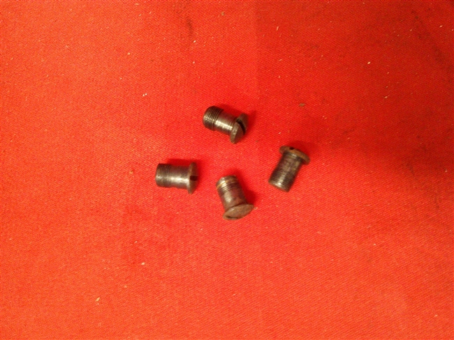 Radom 35 Grip Screw Set