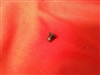 Savage 350 Carrier Screw
