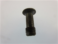 Springfield 187R Takedown Screw