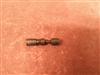 Stoeger 12 Gauge Single Barrel Safety Button