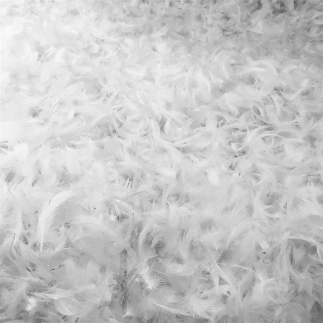 Luxury feather fill, composed of 95% premium duck feathers and 5% soft down