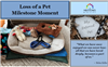 Loss of a Pet Milestone Moment Download