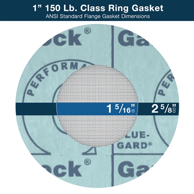 Gasket Strainer - Ring - 1" - 150 Lb. Class