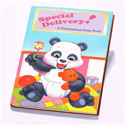 Special Delivery Baby Book  COVER