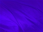 victorian violet