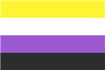 non-binary flag