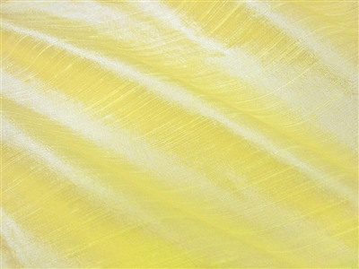daffodil