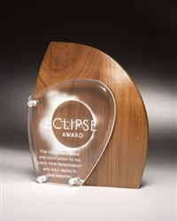 Artisan Wood Sculpted Acrylic Award 9"