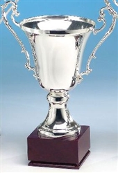 Silver Plated Cup With Antique Handles