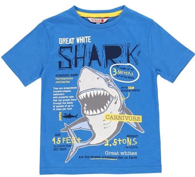MMD KIDS T-SHIRT SHARK  BALTIC