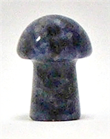 A2-10 STONE MUSHROOM IN EUROPEAN SODALITE