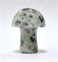 A2-47 STONE MUSHROOM IN KIWI--20*15*10