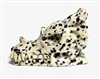 A30-12 50mm STONE DRAGON HEAD IN DALMATIAN