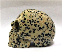 A31-03  50mm STONE SKULL IN DALMATIAN