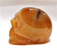 A31-32  50mm STONE SKULL IN CARNELIAN