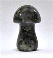 A5-14 STONE MUSHROOM IN LLANITE--35*17*16