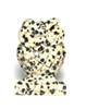 A71-08 SMALL STONE OWL IN DALMATIAN