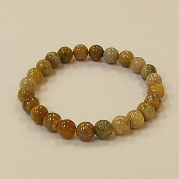 CR87-8mm STONE BRACELET IN DAISY JASPER