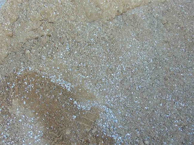 Rain Country Gold Decomposed Granite & Oyster Shell Blend