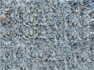 Oyster Shell Sample Cost