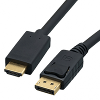 HDMI to DisplayPort Cable, 10ft Long Calrad 55-651-10