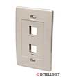 ICI 162838 Wallplate - Ivory - 2 Outlet - Flush Mount