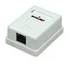 ICI 210881 1-Port Cat5e Surface Mount Box - White