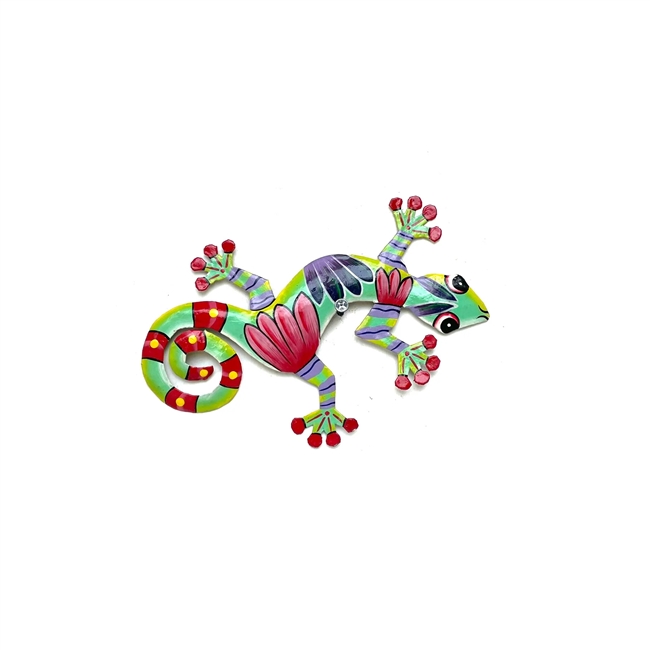 Colorful Lizard