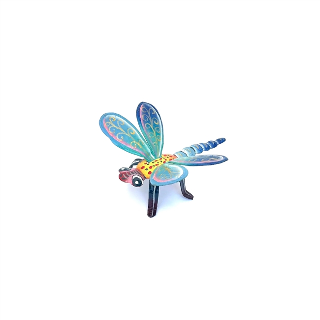 Painted Dragonfly