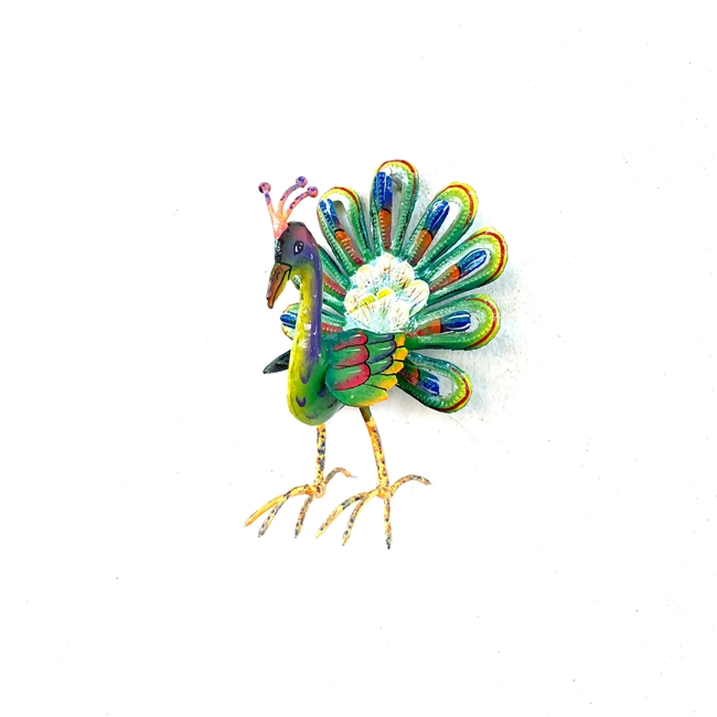 Standing Peacock