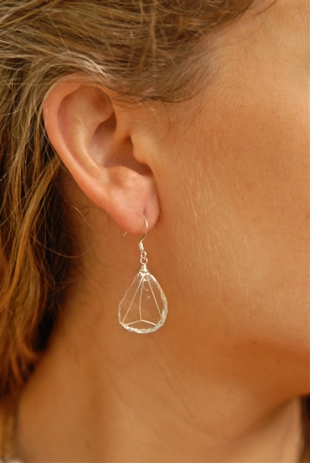 Single Drop Clear Glass Earrings