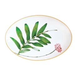 Bernardaud Limoges Jardin Indien Oval Platter - 15''