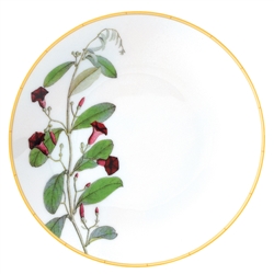 Bernardaud Limoges Jardin Indien Coupe Bread & Butter Plate - 6.5"